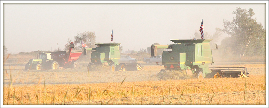 field-work